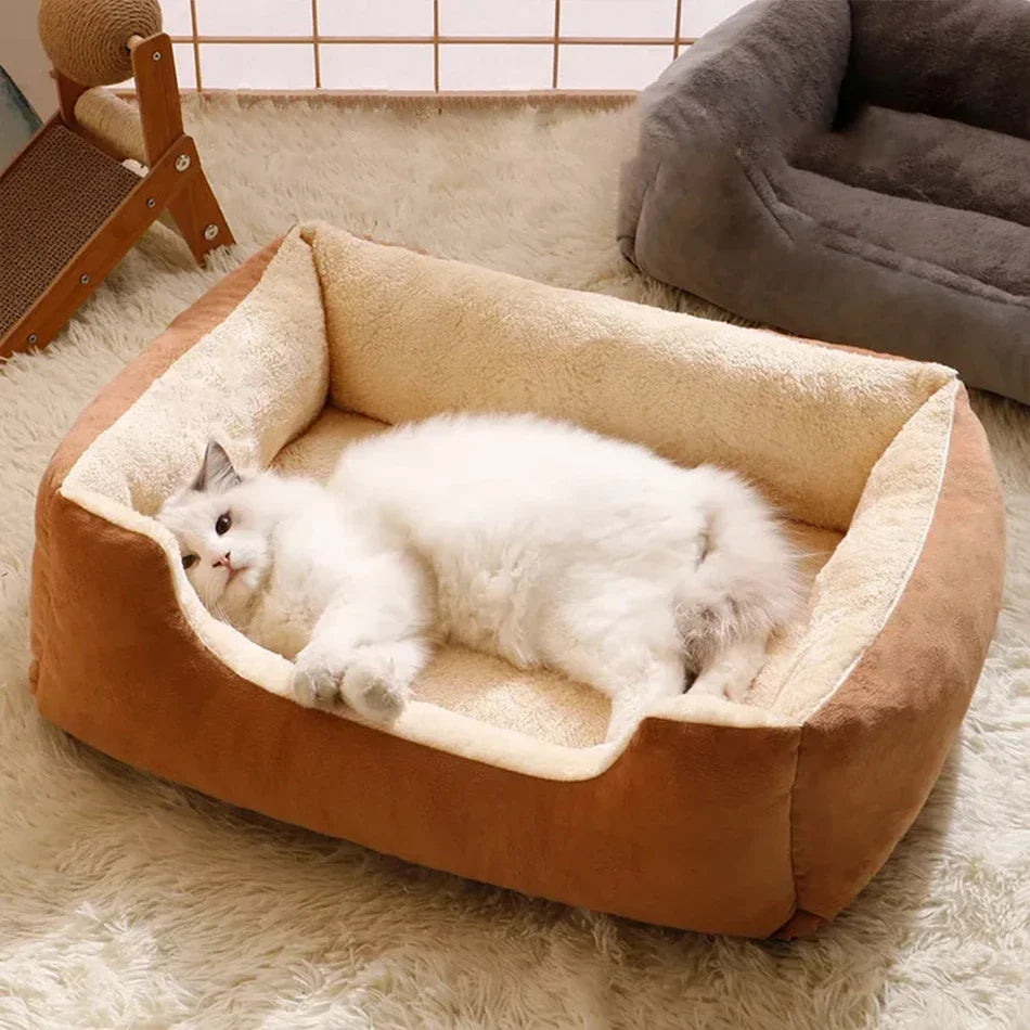 Cuccia Morbida per Gatti